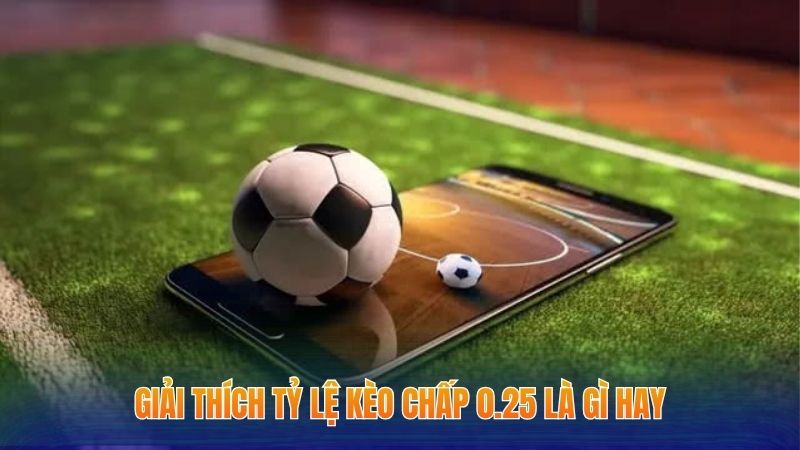 Kèo Chấp 0.25 Là Gì - Tìm Hiểu Cược Bóng Châu Á Thú Vị 2 Giải thích tỷ lệ kèo chấp 0.25 là gì hay