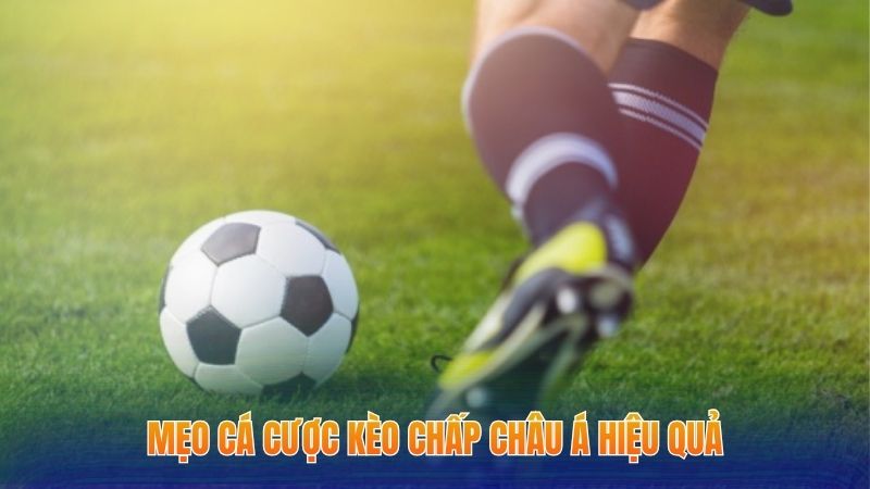 Kèo Chấp 0.25 Là Gì - Tìm Hiểu Cược Bóng Châu Á Thú Vị 3 Mẹo cá cược kèo chấp Châu Á hiệu quả