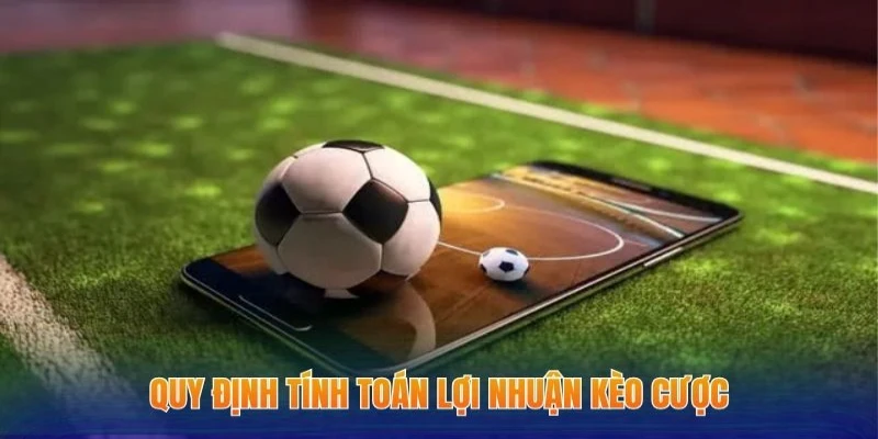 Kèo Trên Dưới - Hình Thức Cá Cược Bóng Đá Cực Hấp Dẫn 2 Quy định tính toán lợi nhuận kèo cược
