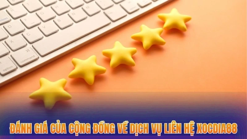 Liên Hệ Xocdia88 - Cập Nhật Phương Thức Kết Nối Mới Nhất 2026 4 Đánh giá của cộng đồng về dịch vụ liên hệ Xocdia88