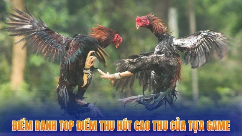 Đá Gà Cựa Đòn - Mách Bạn Chiến Lược Tham Gia Tăng Cơ Hội Thắng 2 Điểm danh top điểm thu hút cao thủ của tựa game