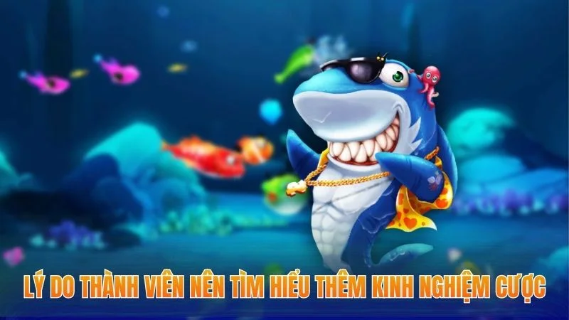 Kinh Nghiệm Chơi Bắn Cá - Công Thức Chiến Thắng Cho Hội Viên 1 Lý do thành viên nên tìm hiểu thêm kinh nghiệm cược
