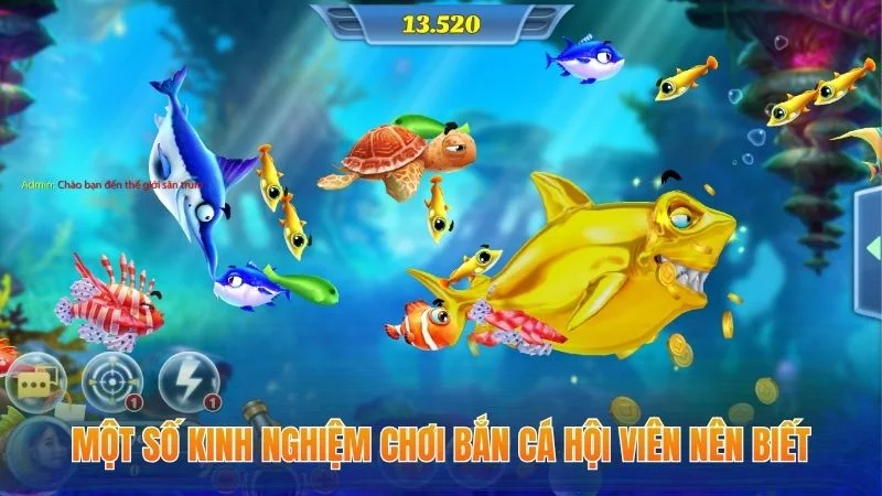 Kinh Nghiệm Chơi Bắn Cá - Công Thức Chiến Thắng Cho Hội Viên 2 Một số kinh nghiệm chơi bắn cá hội viên nên biết
